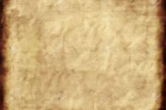 aacc-1-300x240