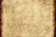 aacc-300x240