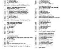 A-LITTLE-TOO-LATE-pdf-212x300